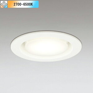 �yOD361513BCR�z�I�[�f���b�N �_�E�����C�g(S�`) LED�d���t���b�g�` �����FLED ���ω΍\���Ή� �I�t�z���C �R���g���[���[�ʔ� �d���F-�����F ODELIC