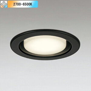 �yOD361514BCR�z�I�[�f���b�N �_�E�����C�g(S�`) LED�d���t���b�g�` ���M����� ���ω΍\���Ή� �u���b�N �R���g���[���[�ʔ� �d���F-�����F ODELIC