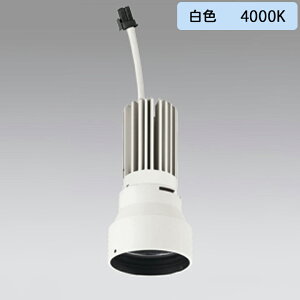 �yXD423009H�z�I�[�f���b�N �_�E�����C�g(M�`) PLUGGED �V���[�Y �����p�������j�b�g ���ʐF C1500��p Ra93 �I�t�z���C�g ���F ODELIC