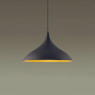 【LGB15493】パナソニック LEDペンダント 天井吊下型 アルミセードタイプ・引掛シーリング方式 黒鉄色 ラ…