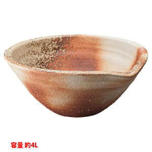 yHW1023-001zOh x[VN ʊ  y(炭)V[Y  SANEI