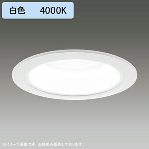 yLEDD-25013MWz LEDa_ECg ʌ` F˔ zp 50° p^Cv { djbgʔ F 󒍐Yi TOSHIBA