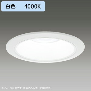 yLEDD-25031Wz LEĎ`_ECg  100 ʌ` ʌ` F˔ 80° Lp^Cv { djbgʔ F 󒍐Yi TOSHIBA