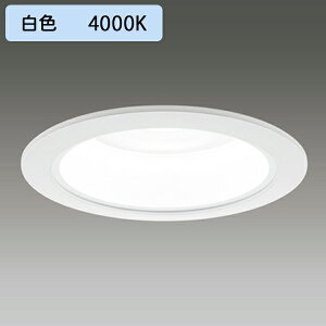 yLEKD10011MW-LD9z LEDa_ECg FHT24` ʌ` F˔ ^Cv zp 80° Lp^Cv F 󒍐Yi TOSHIBA