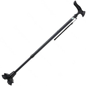 y  ẑIVȏ tWz[ 邪E4_DXLkSEMp jpEEjEVjAE 74.0`96.5cmLki10iK߁E2.5cmsb`j 435g bh/u[/u