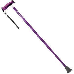 y  zSdSG}[Nt̏ | ou[XebL jpEEjEҁEVjA 68.0`96.0cmi12iK 2.5cmsb`j 310g ubN/uY/Cbh/u