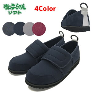  C AXeBR 炳\tg05 5E@y ̔ zy  z