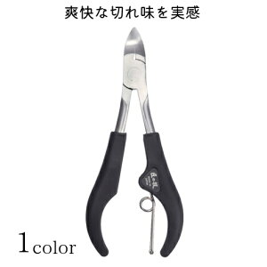 ߐ؂ jbp[ œK؂ꖡ Eldグ MUnt {  ܐ؂ XeXjbp[߂@yTCYF12cm zގFXeXn| O[x yz