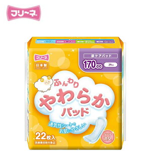 AƂpbh q t[l ӂ炩pbh 170@y TCYF11cm × 29cm zގF|GXeA|G`sDz q