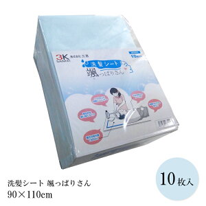 pi V[g V[g Dς肳 10@y90×110cmz zV[g 10 Ob TPC