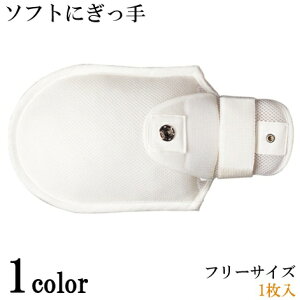 p~g \tgɂ 1 pi  G[