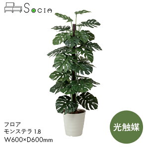 SOCIA Xe A ϗtA tFCNO[ G}  CeA ItBX G-MS18 tA Xe1.8@yW600×D600×H1800z CeA  R L h i { Ov