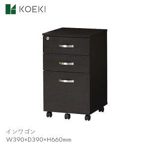 KOEKI soho S J[g bN [ Ƌ rO [NXy[X  ׋ d  CS WDS-MEW@yW390×D390×H660mmz_ X^CbV Vv   CeA WDS-MEW