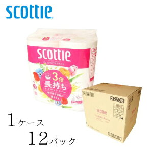 {NVA gCbgy[p[ XRbeB t[pbN3{4[i_uj@y TCYF11.4cm×75miꊪj zގFpvApbNTCNpv {NVA