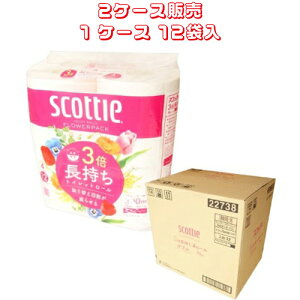 {NVA gCbgy[p[ y 2P[X̔ z XRbeB t[pbN3{4[i_uj@y TCYF11.4cm×75miꊪj zގFpvApbNTCNpv