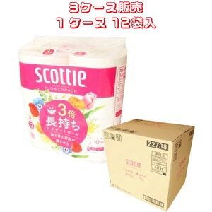 {NVA gCbgy[p[ y 3P[X̔ z XRbeB t[pbN3{4[i_uj@y TCYF11.4cm×75miꊪj zގFpvApbNTCNpv