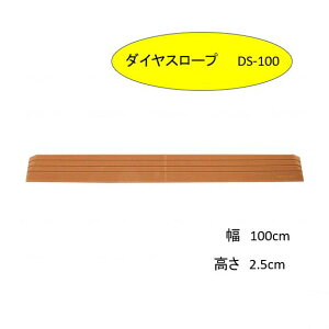 yiX[vz dS VGCeNm i  X[v@_CX[v DS100-25 y2.5cmz DS-100V[Yi100cmj s9.5cm z14x o |{bg ~ ܂Â