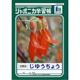 楽天市場 ショウワノート Cm 教材 キッズ用教材 お道具箱 キッズ ベビー マタニティの通販
