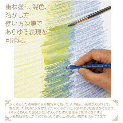 楽天市場 サクラクレパス Epy24水彩色鉛筆 ２４色セット 水彩絵の具 筆 ぬりえ 水彩画 スケッチ イラスト 絵画 アート Compassーplus