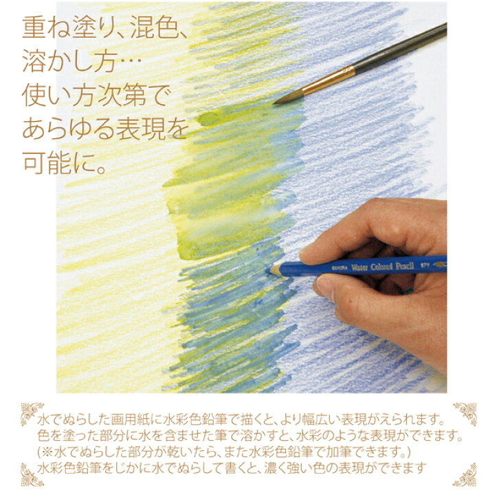 楽天市場 サクラクレパス Epy24水彩色鉛筆 ２４色セット 水彩絵の具 筆 ぬりえ 水彩画 スケッチ イラスト 絵画 アート Compassーplus