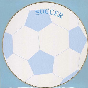 GqH ی^F TbJ[{[ 240mm 3 N-EMS-3 yTC 񂹏   Ɓz