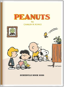 TX^[ Xk[s[ 蒠 2026N T B6  S2958996