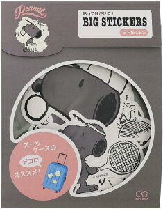 TX^[ Xk[s[ BIG XebJ[ J[ZNV O[ S8581649