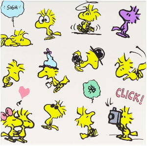 TX^[ Xk[s[  P[X EbhXgbNXk[s[ AC{[ S2843056