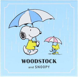 TX^[ Xk[s[  P[X EbhXgbNXk[s[ u[ S2843072