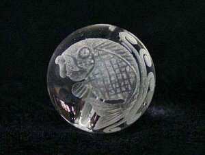 yr[Yz 12mm (f) vw() [1(o)] yp[Xg[ VR ANZT[z