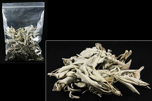 y򉻃ACez򉻗pzCgZ[W NX^[ 45g DMցElR|Xs yp[Xg[ VR ANZT[zy02P03Sep16z