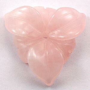 y`[tr[YznCrXJX [YNH[c [1(o)] yp[Xg[ VR ANZT[z