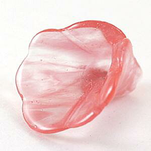 y`[tr[Yzbp `F[NH[c [1(o)] yp[Xg[ VR ANZT[z