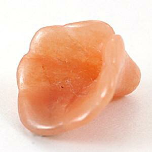 y`[tr[Yzbp s[`Ax` [1(o)] yp[Xg[ VR ANZT[z