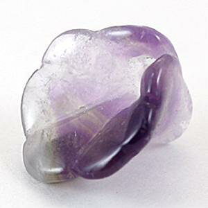 y`[tr[Yzbp t[Cg [1(o)] yp[Xg[ VR ANZT[z