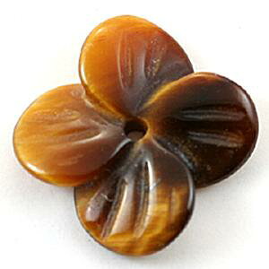 y`[tr[Yzl ^CK[AC [1(o)] yp[Xg[ VR ANZT[z