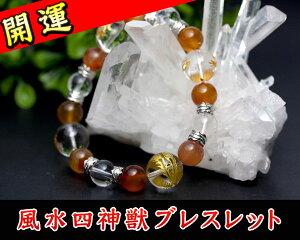 yuXbgzl_b /IjLX ()[VR΁bbIjLXbJ[lAbAx`bt[CgbNbVC{[NH[cb^CK[ACbbJ^