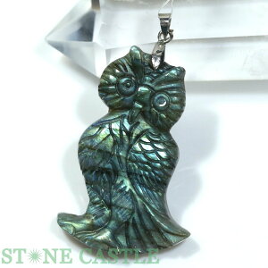 _yy_gzuhCg ӂ낤 No.01yp[Xg[ VR ANZT[ fB[X Yz