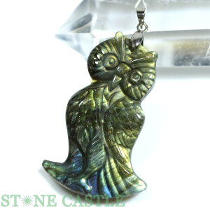 _yy_gzuhCg ӂ낤 No.02yp[Xg[ VR ANZT[ fB[X Yz