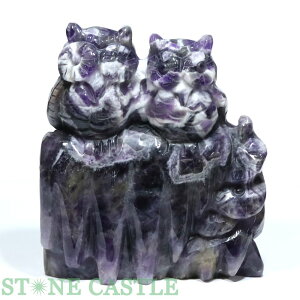 _yuzӂ낤 VFuAWXg No.07yp[Xg[ VR ANZT[ fB[X Yz