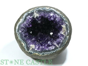 _y΁zAWXg Jy[ (6A) (EOACY) h[^ (䖳) No.19yp[Xg[ VR ANZT[ fB[X Yz