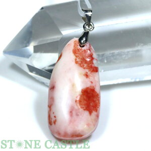 _yy_gzVio[ (C) No.02yp[Xg[ VR ANZT[ fB[X Yz