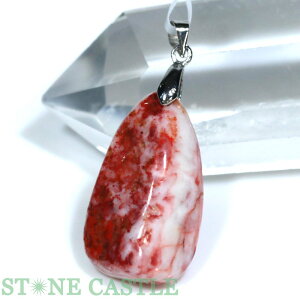 _yy_gzVio[ (C) No.12yp[Xg[ VR ANZT[ fB[X Yz