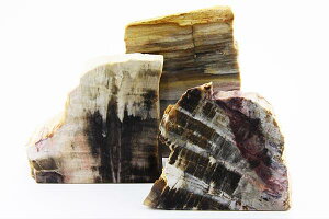 yu΁zΈʖ ][1] DMցElR|Xs yp[Xg[ VR ANZT[z