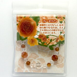 yuXbgzKN J[lA yp[Xg[ VR ANZT[ fB[X Yz