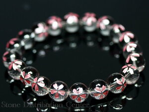 yr[Yz 10mm (sN)  (uXbg/A) yp[Xg[ VR ANZT[z