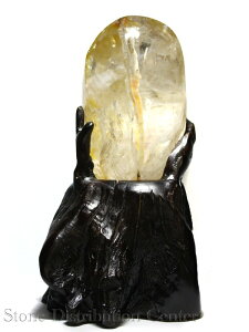 �����Έ�_�����y���΁z�����萅�� ���C���{�[�t (��t) No.05 ��DM�ցE�l�R�|�X�s�� �y�p���[�X�g�[�� �V�R�� �A�N�Z�T���[�z