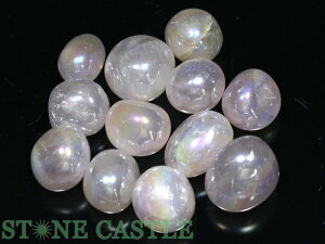 _yu΁z^u^ [YNH[cI[ 215gpbN No.66yp[Xg[ VR ANZT[z