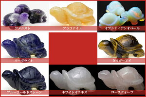 yuz 50mmTCYDMցElR|Xs yp[Xg[ VR ANZT[z