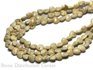 yJbgr[YzsN`[WXp[ n[g^ 8mm (ʌ菤i) yp[Xg[ VR ANZT[ 1Az